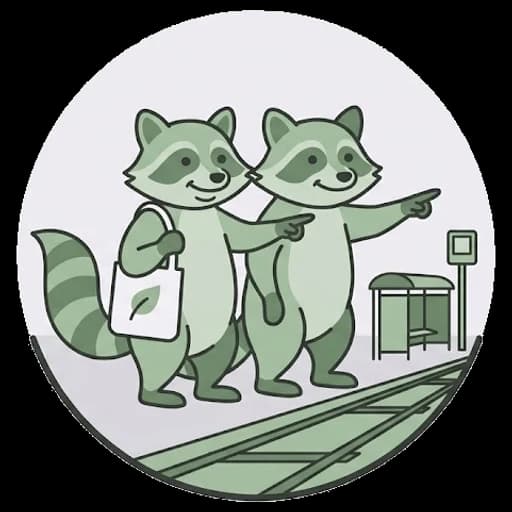 The raccoons