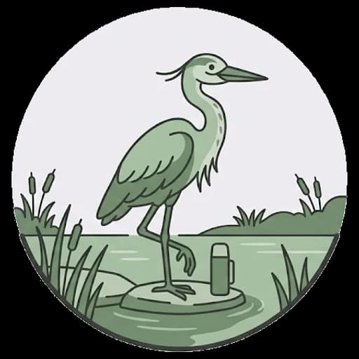 The grey heron