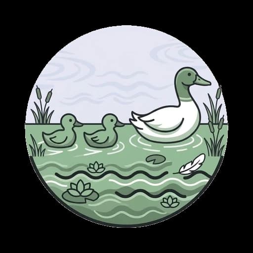 The ducks